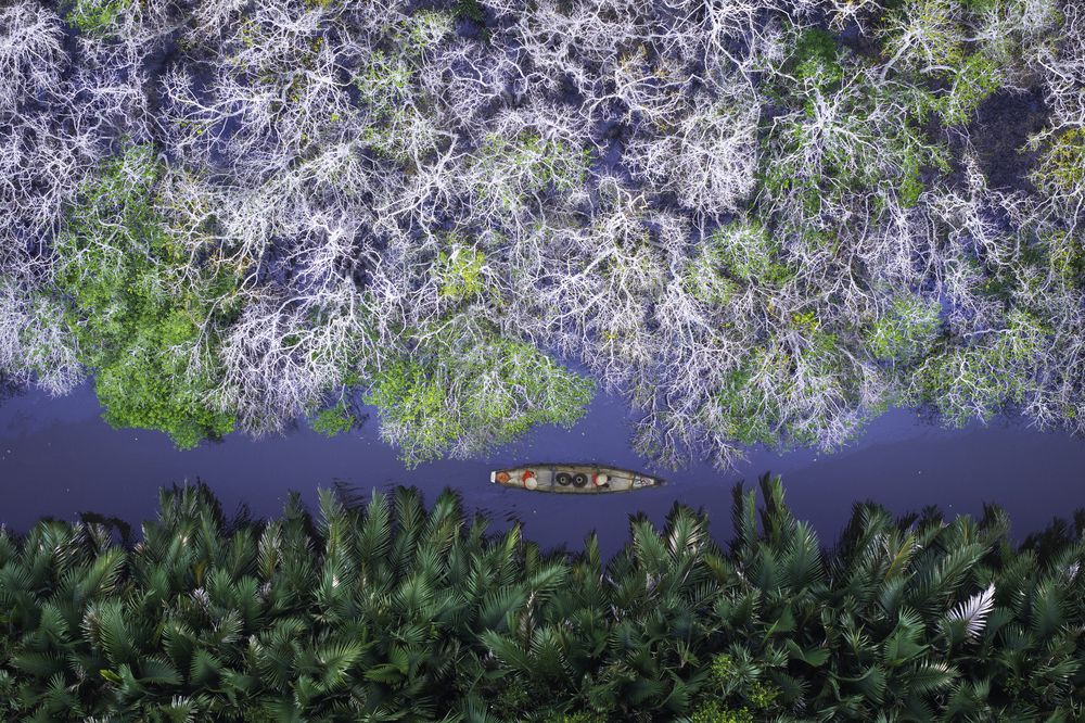 Фотография автора Trieu Nguyen