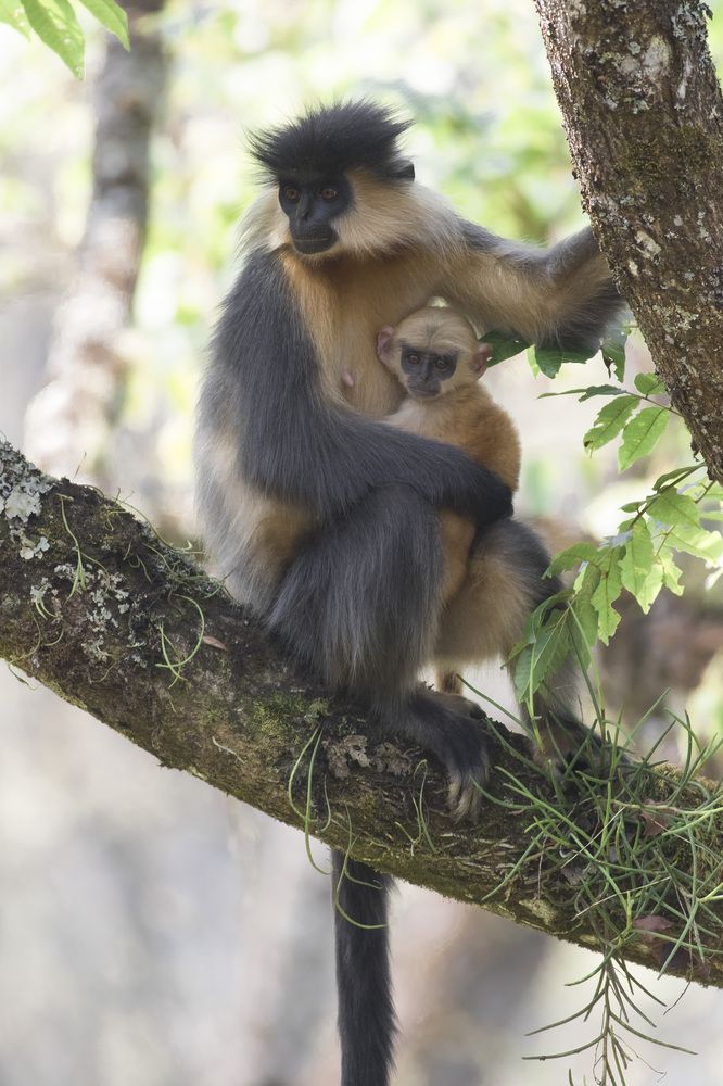 Photograph by sonam dorji