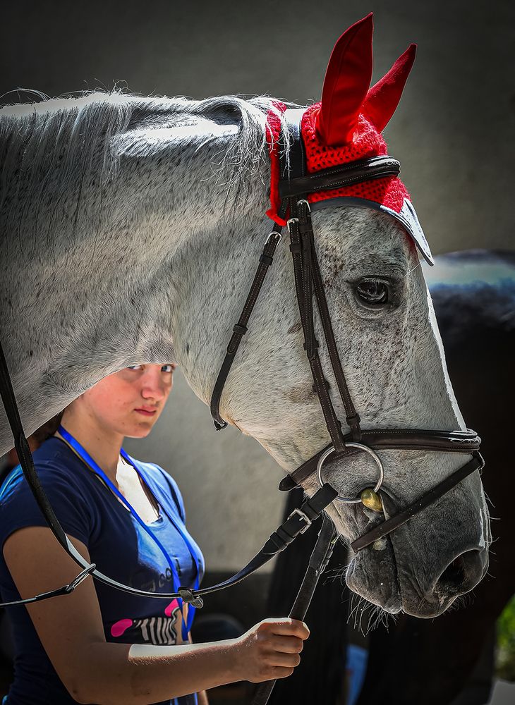 Photograph by Sagyn Ailchiev