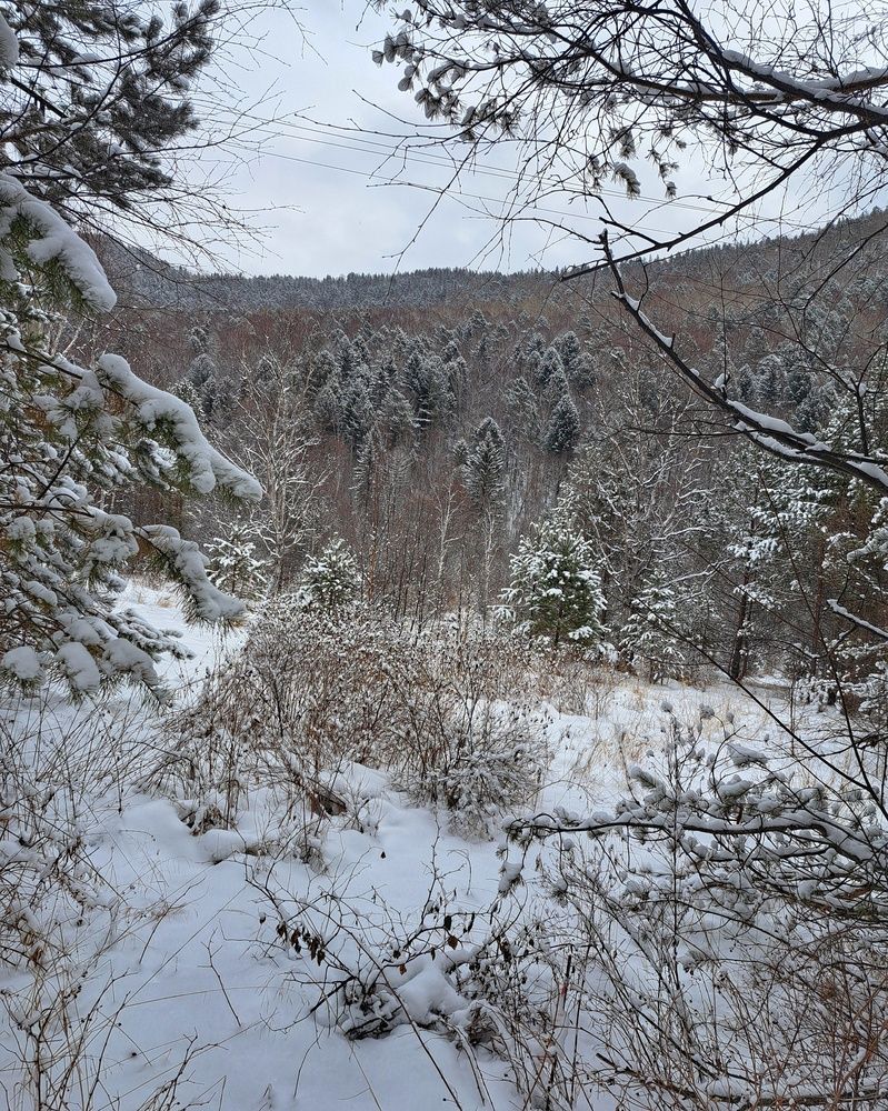 Photograph by Оксана Юдина