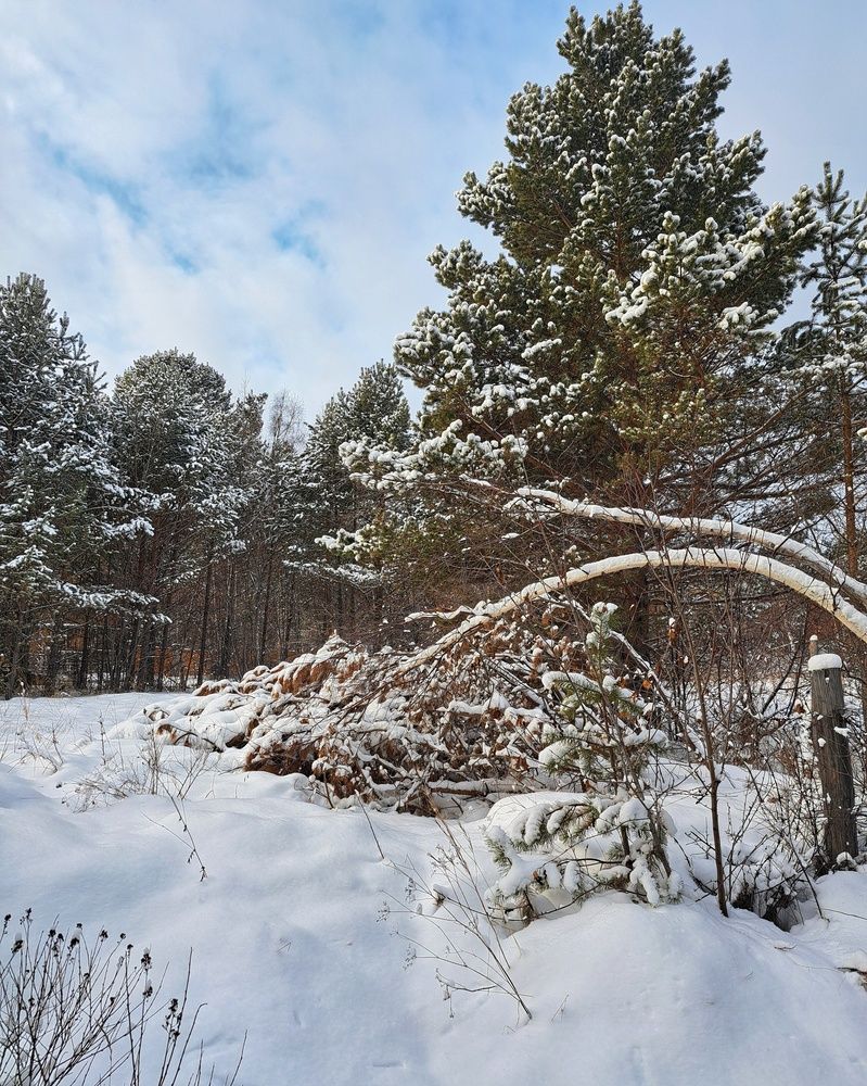 Photograph by Оксана Юдина