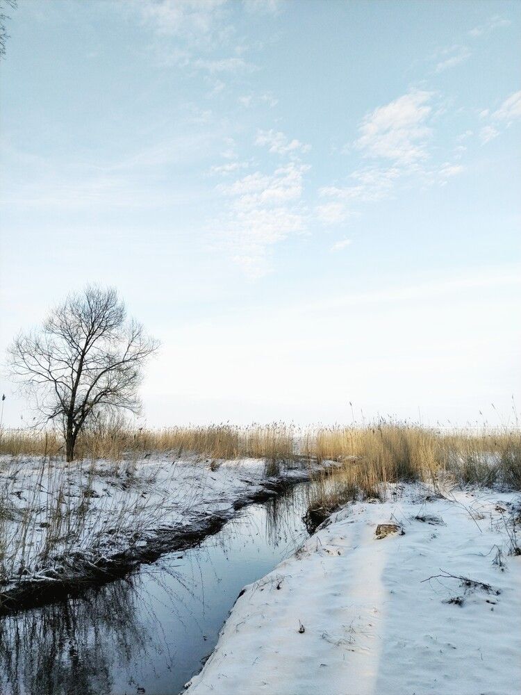 Фотография автора Семён Так странно