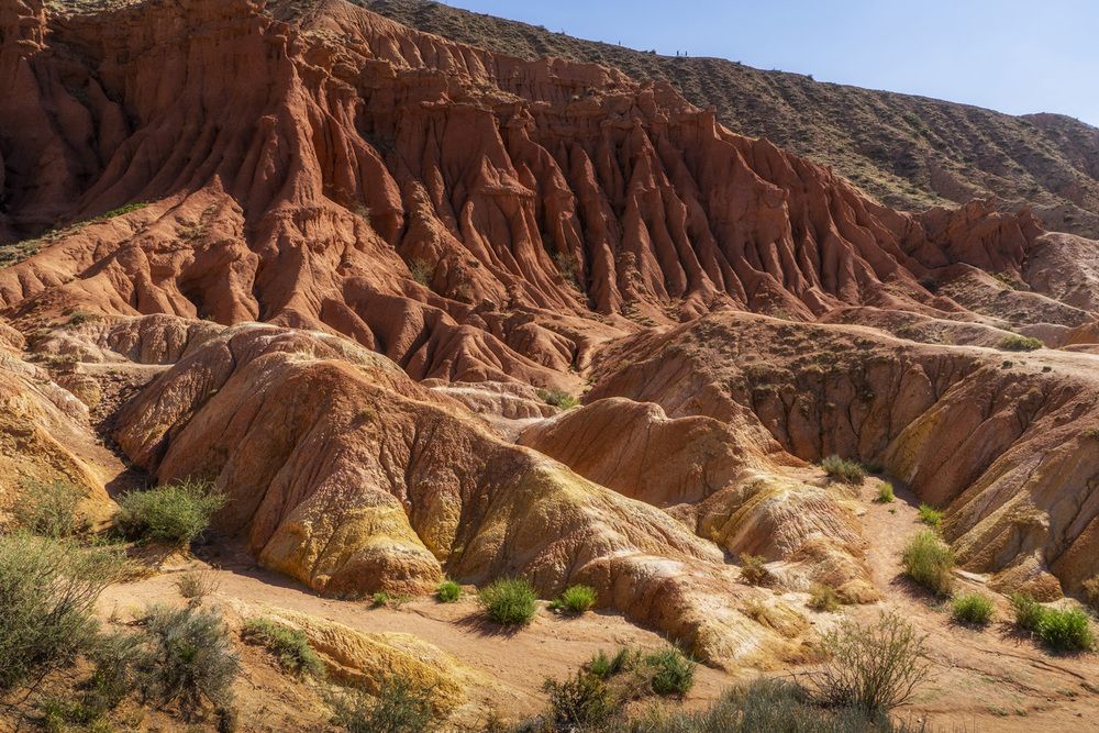 Фотография автора Татьяна Добровольская