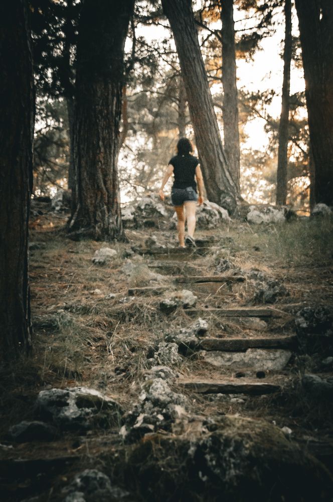 Photograph by Alp Aysgl