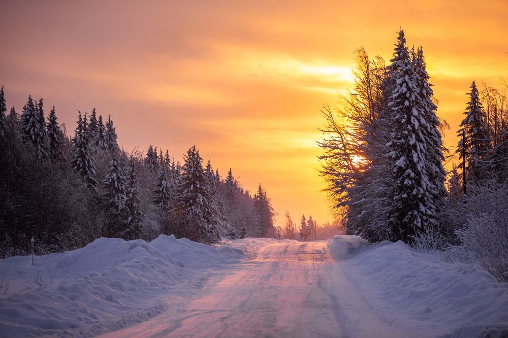 Photograph by Ольга Деулина