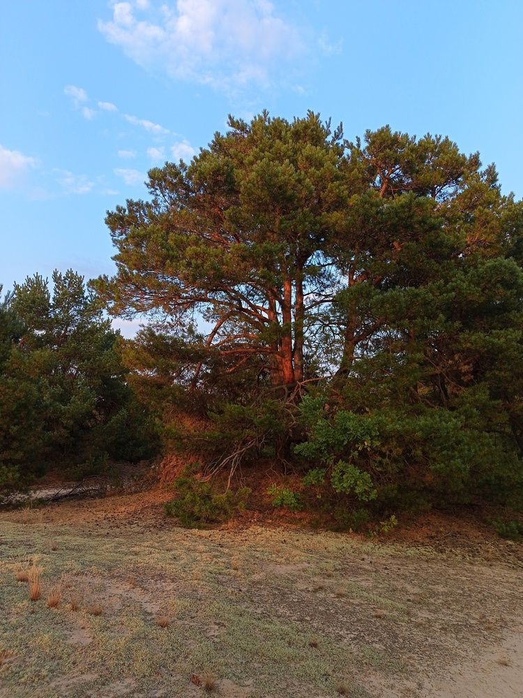 Photo #11843098
