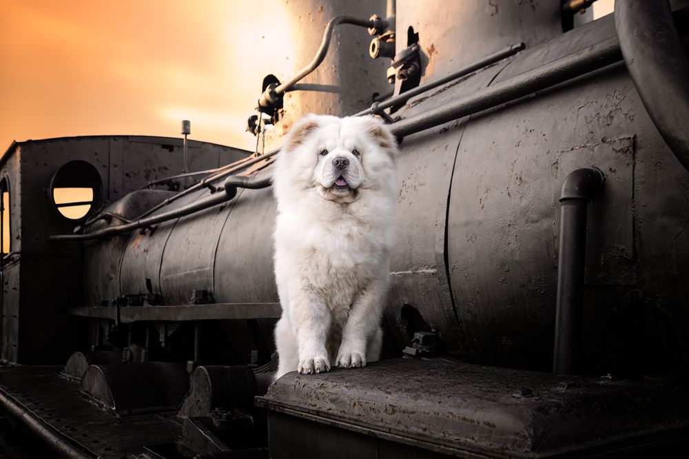 Photograph by Leticia Hernandez