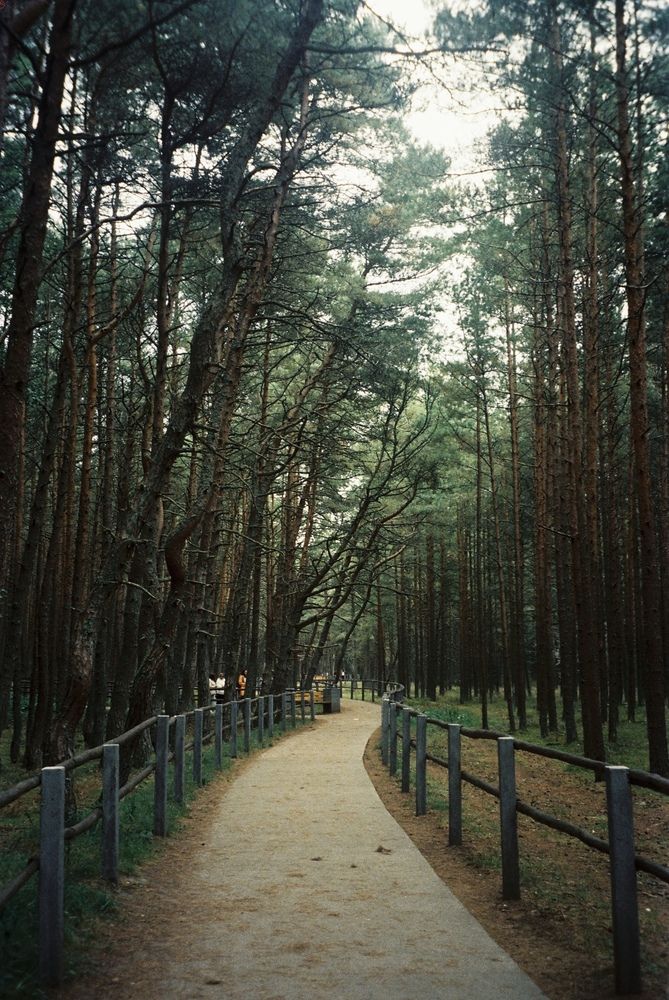 Photograph by Алина Логвиненко