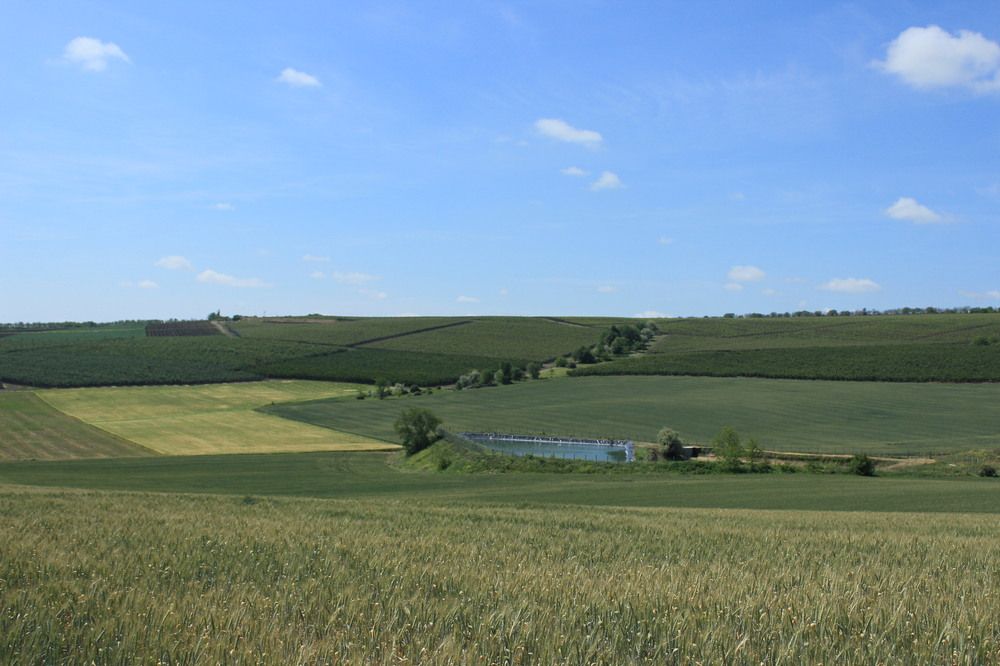 Photograph by Валентина Сабий