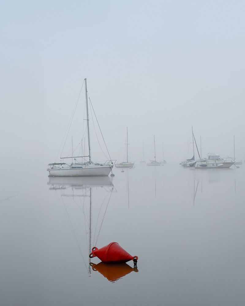 Photograph by Аlina BRAZIUL