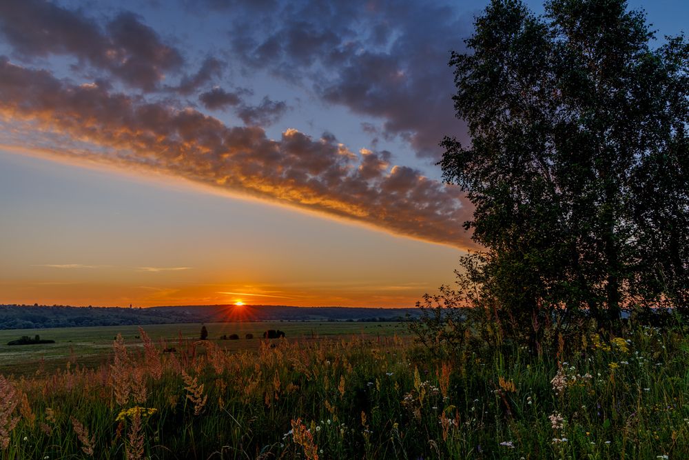 Photograph by Елена Овчинникова