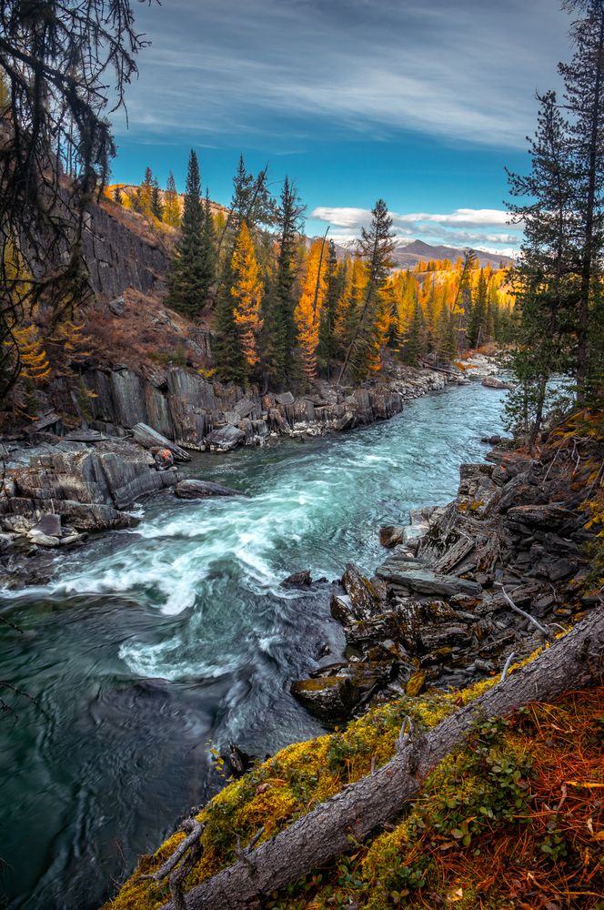 Golden Autumn on the Banks of the Emerald River