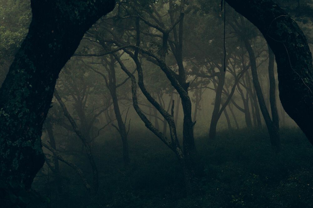 Фотография автора Оксана Вальянина