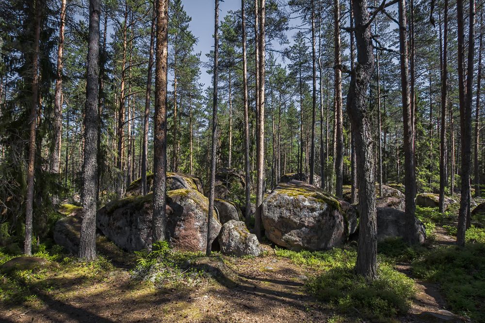 Photograph by Клясюк Галина