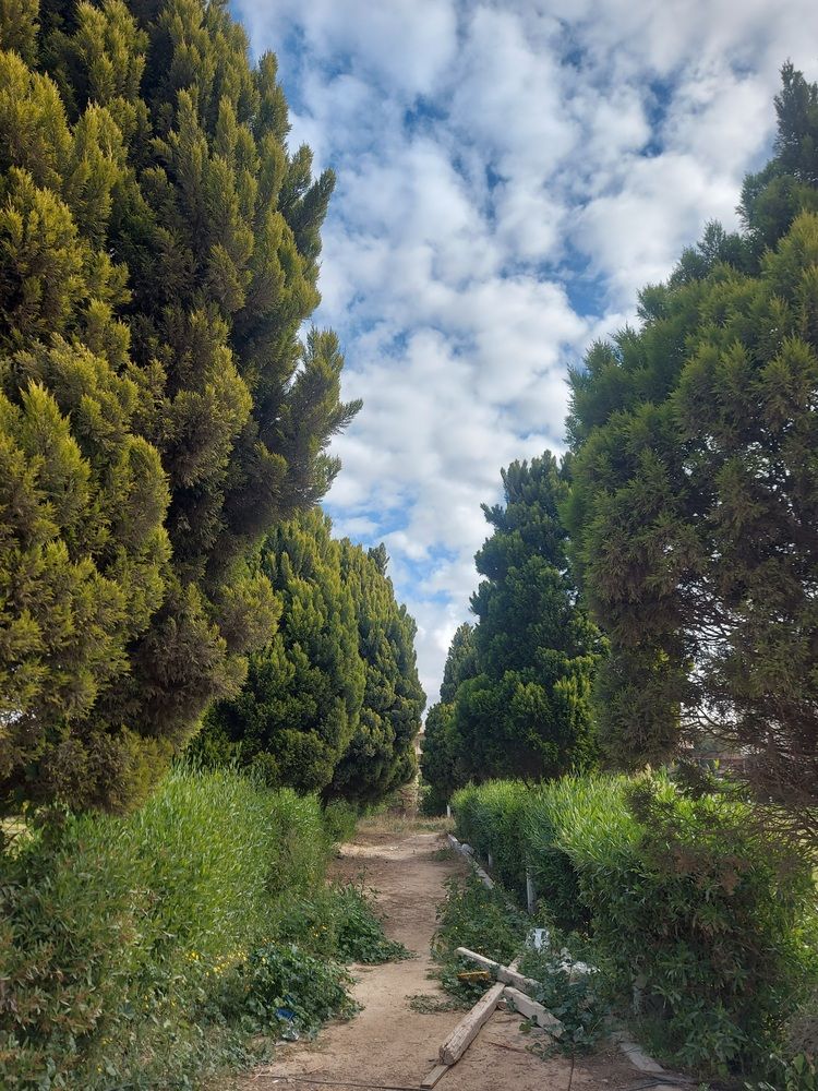 Фотография автора Youstina Rowes