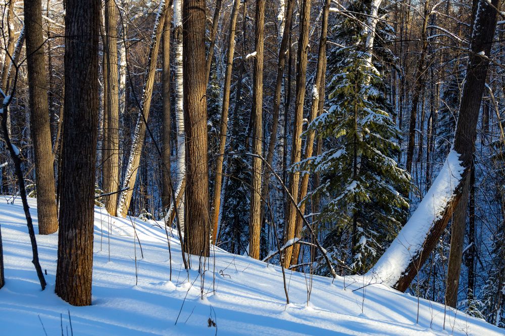 Photograph by Александр Ермаков