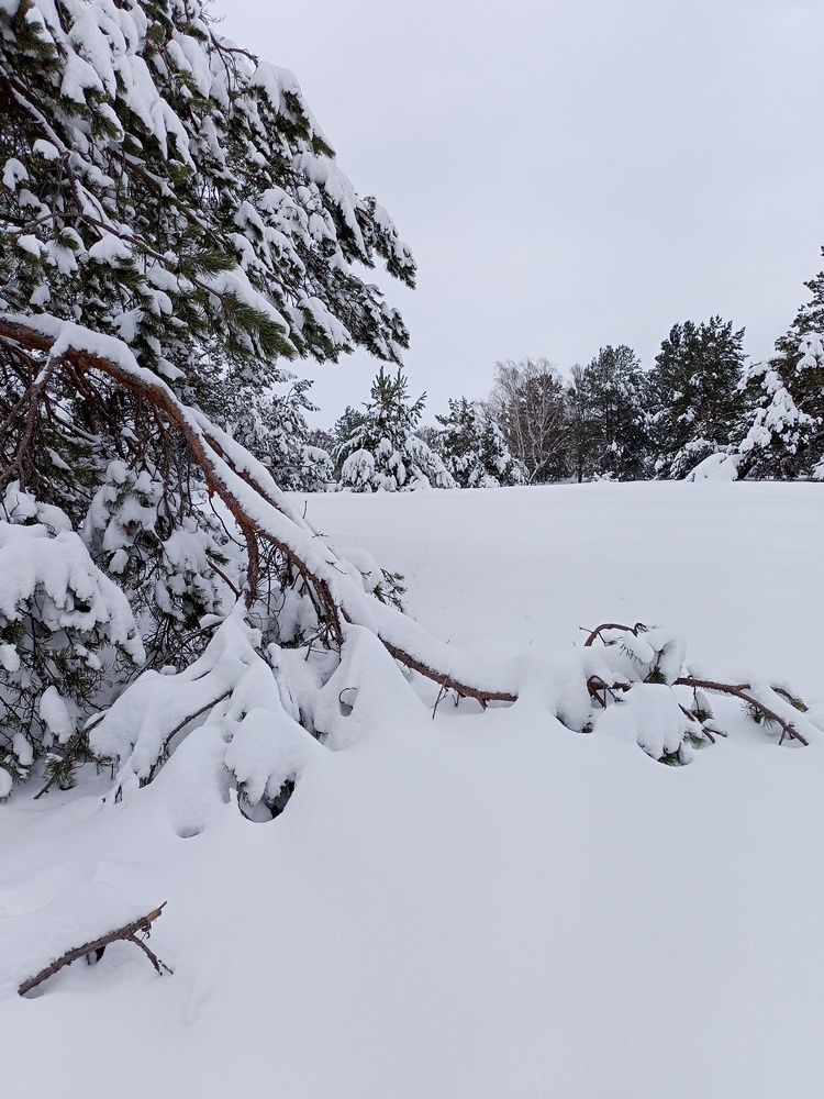 Photo #11843263