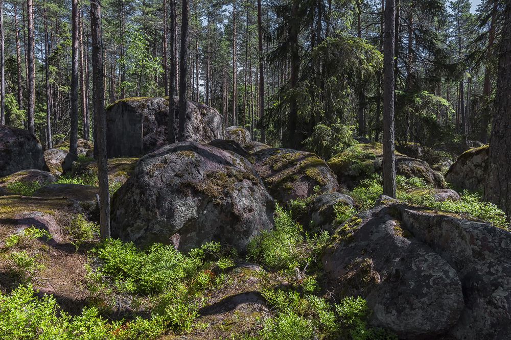 Photograph by Клясюк Галина