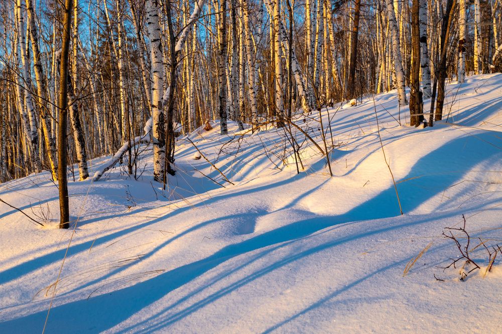 Photograph by Александр Ермаков