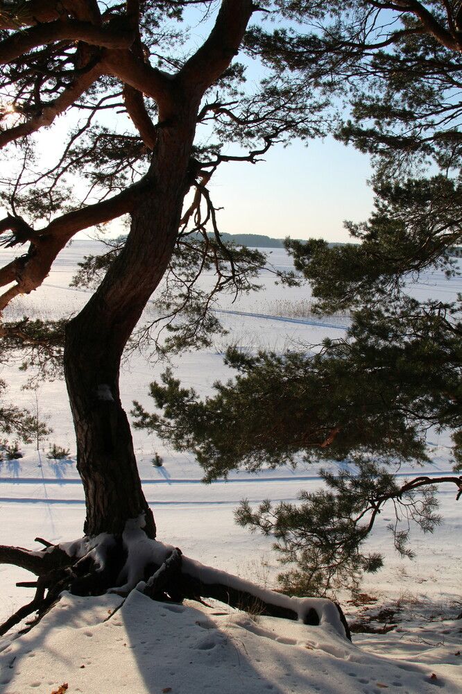 Photograph by Анастасия Бородина