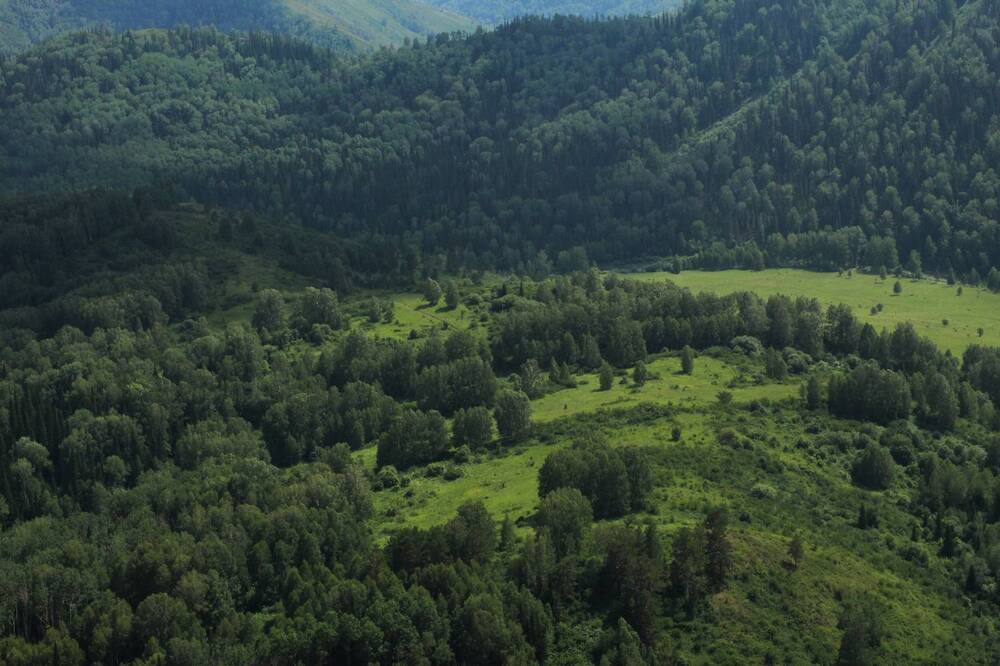 Photograph by Елена Сахарова