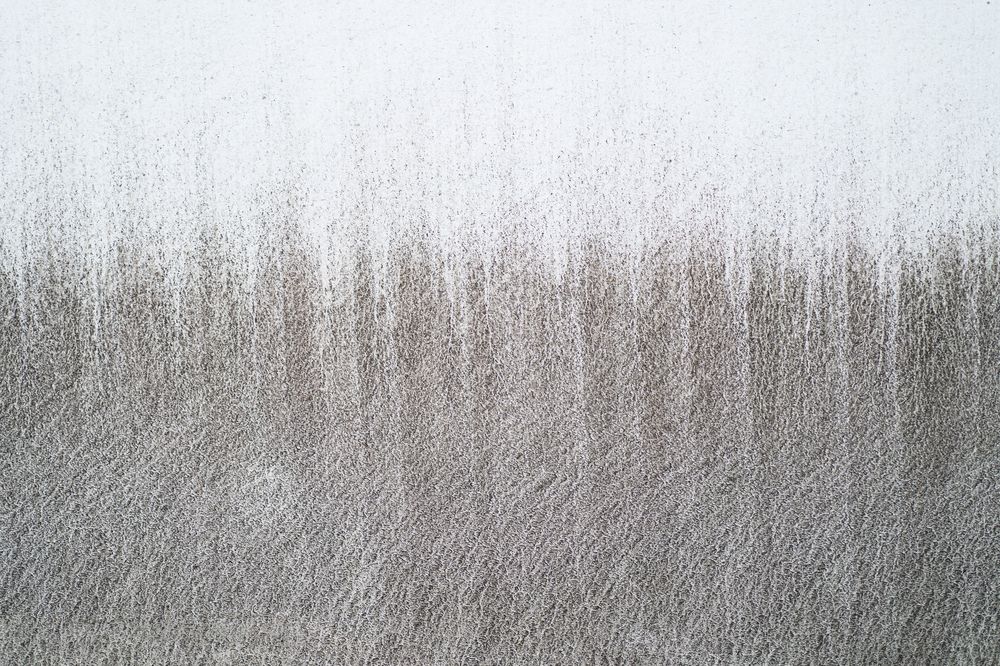 Фотография автора Елена