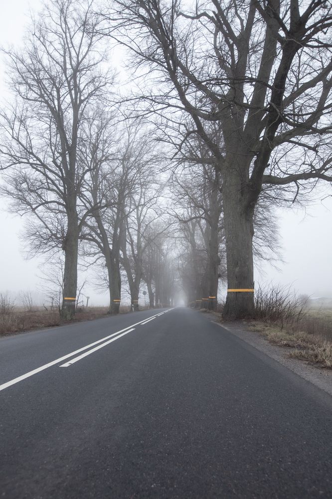 Photograph by Денис Дорошенко