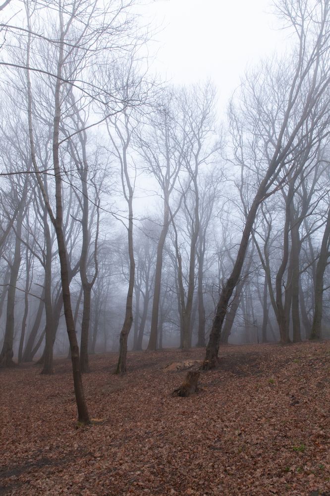 Photograph by Денис Дорошенко