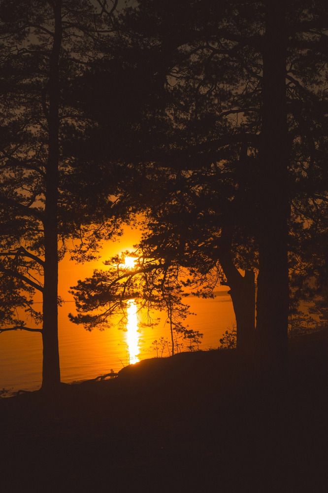 Photograph by Денис Якунов