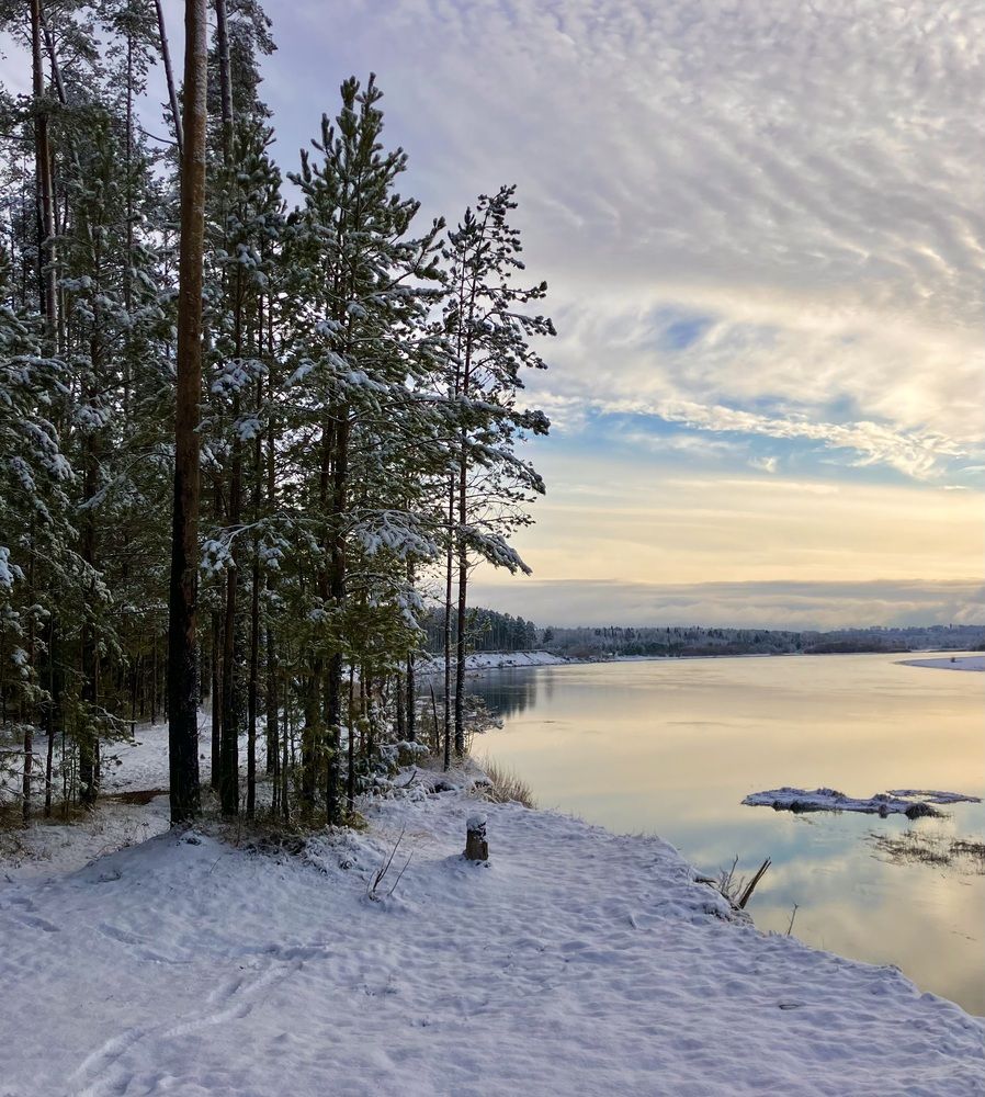 Photo #11843367