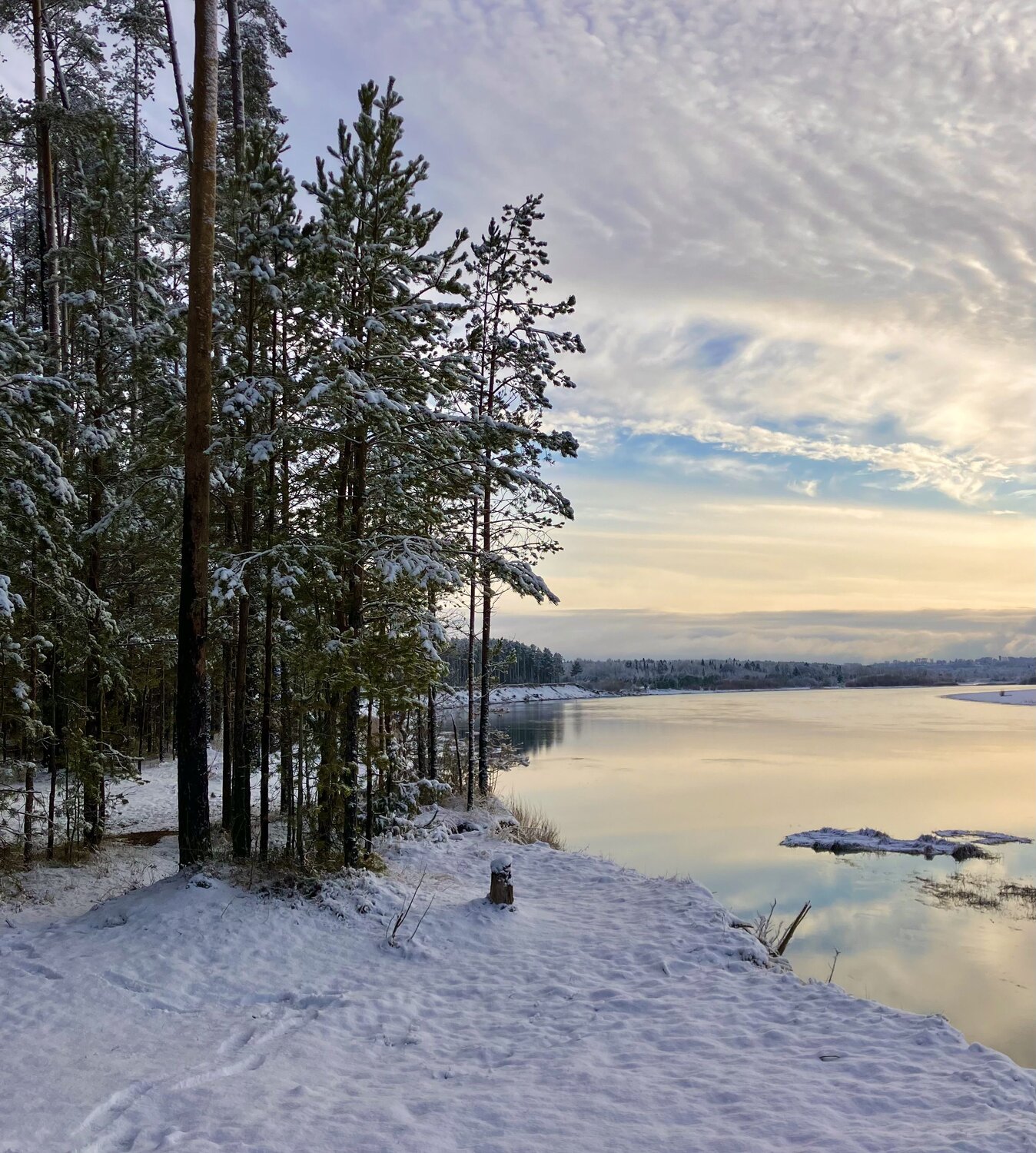 Photo #11843367