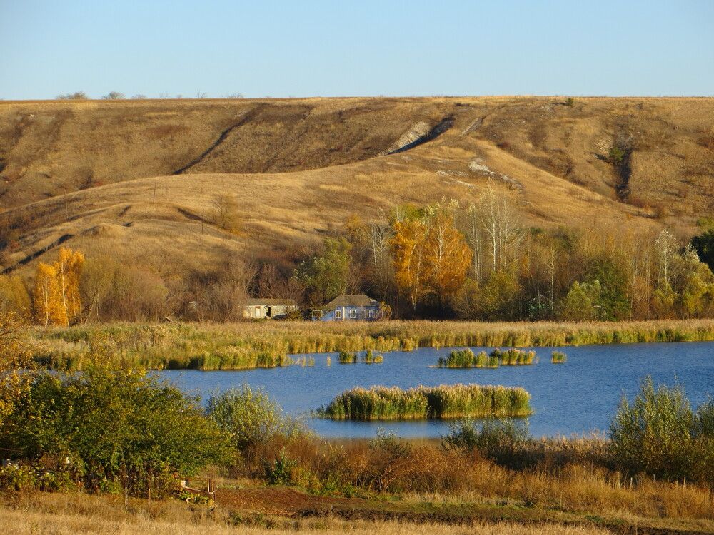 Photograph by Татьяна Поминова