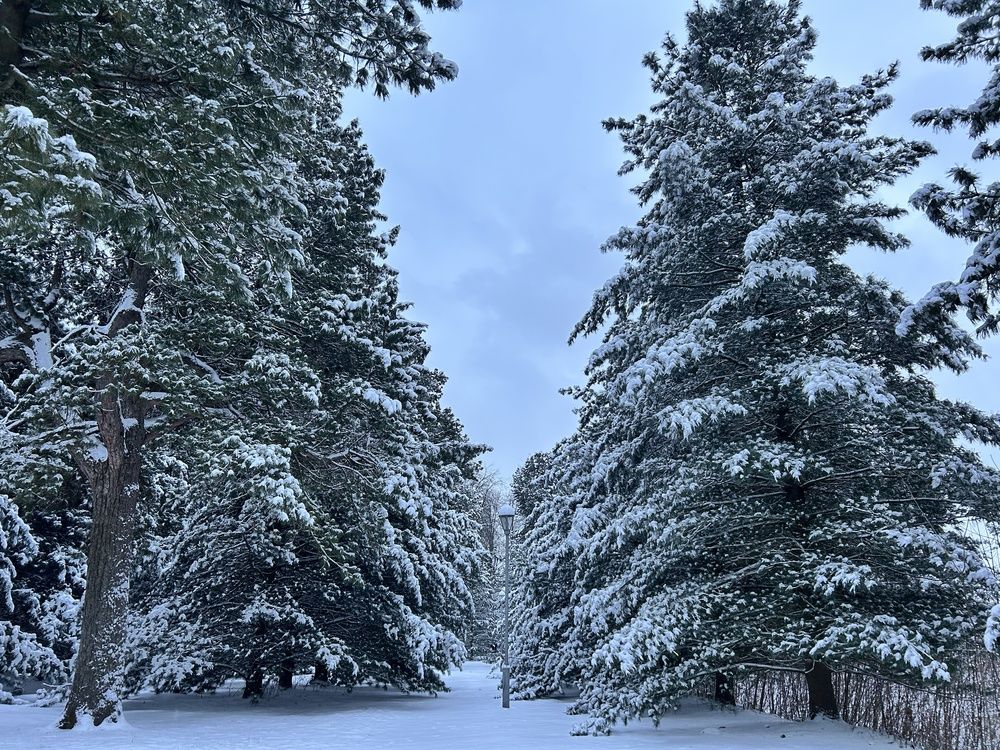 Photograph by Алина Логвиненко