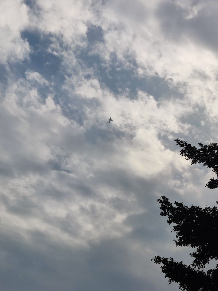 Photo #11843407