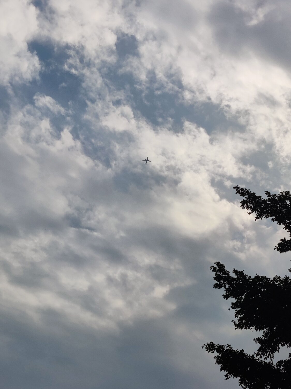 Photo #11843407