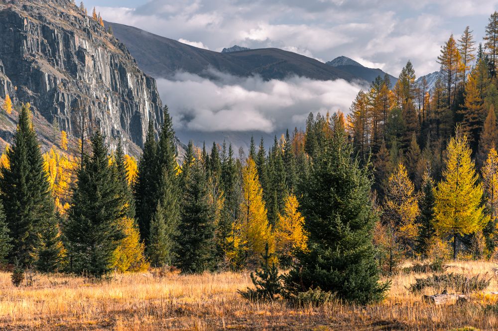 Photograph by Devender Mark