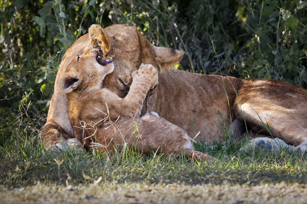 Мамуле по секрету