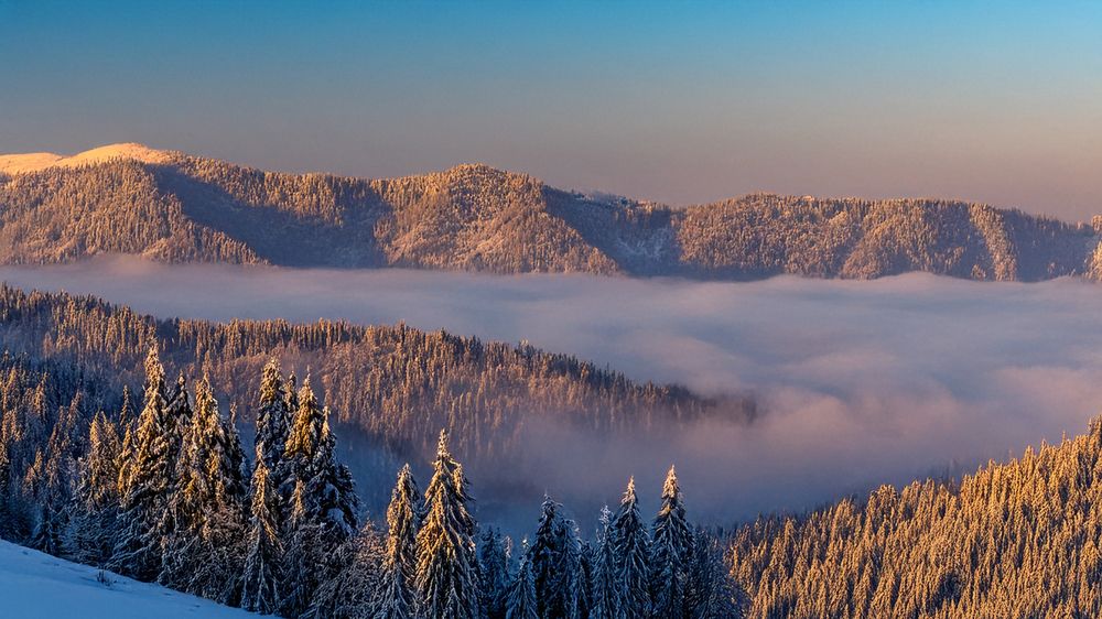 Фотография автора 