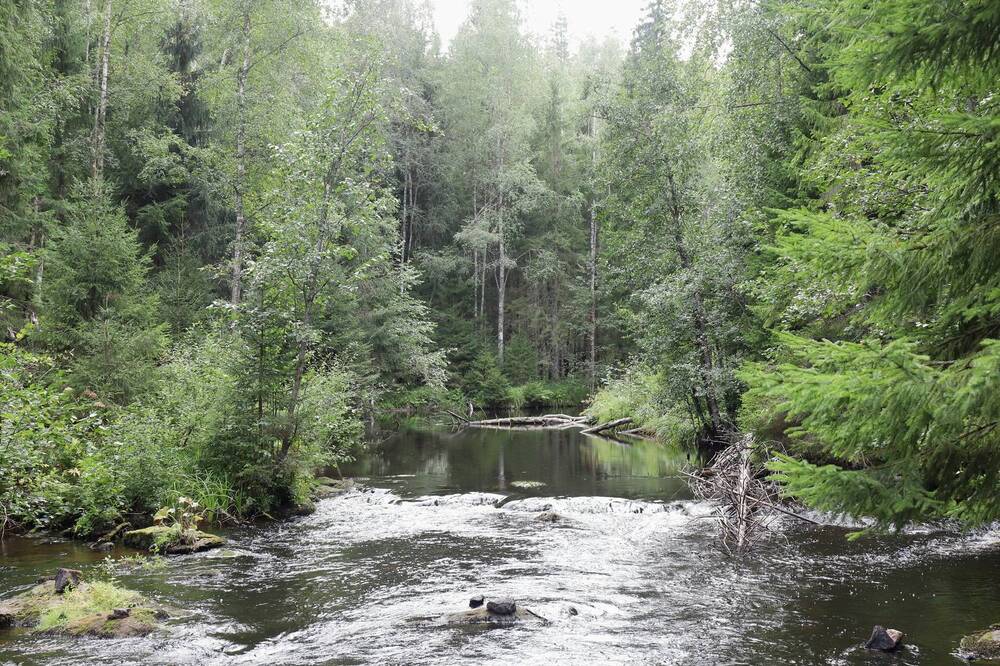 Photograph by DUBINA LEONID