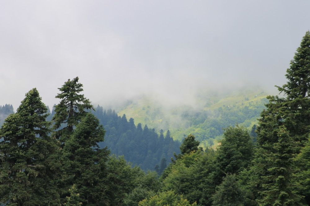 Photograph by Александр Гришин