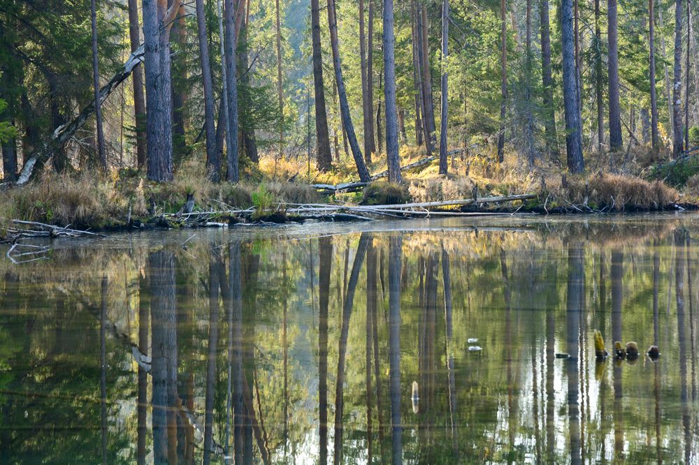 Photograph by Сергей Шварцман