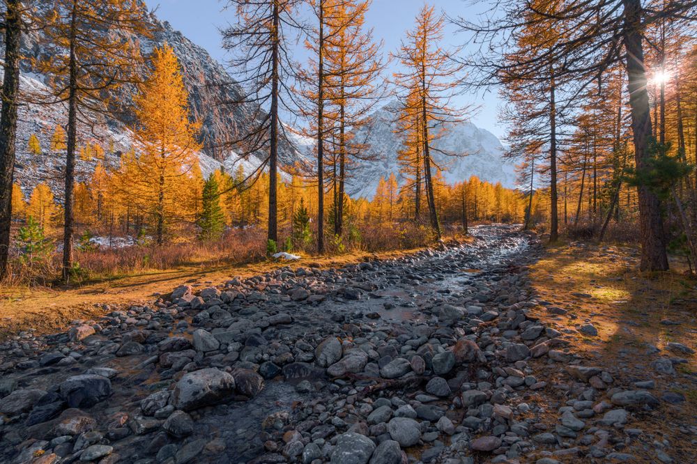 Photograph by Лариса Дука