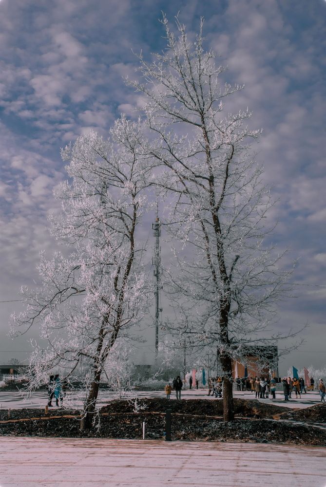 Photograph by Ирада Селиванова