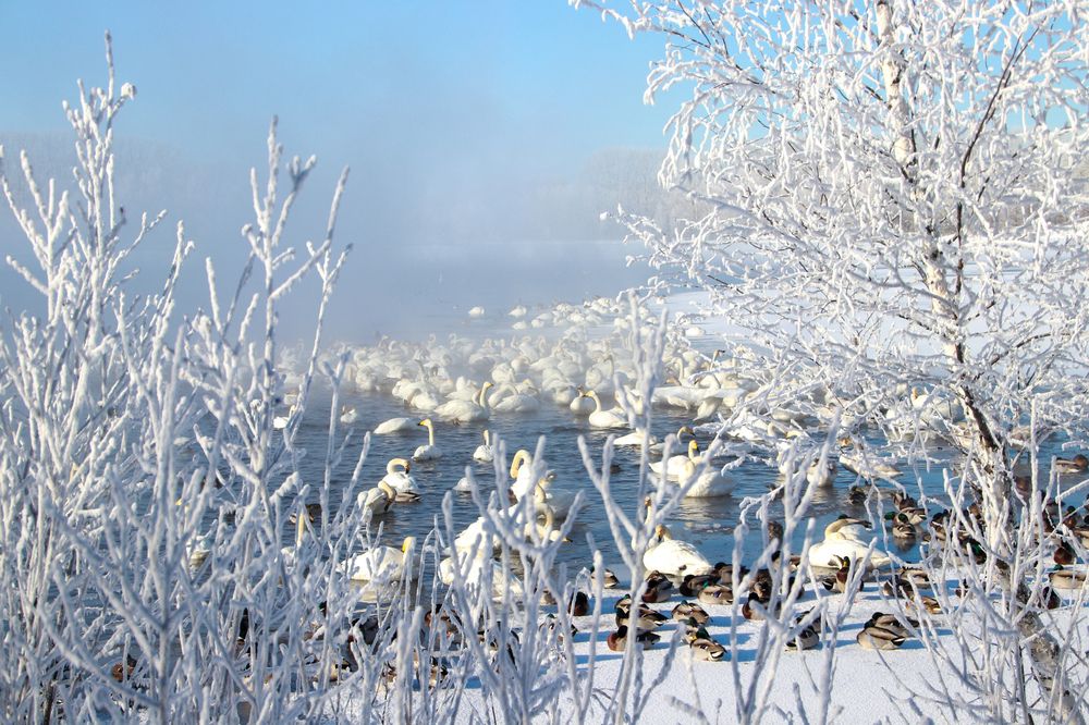 Photograph by Наталья Трифуз