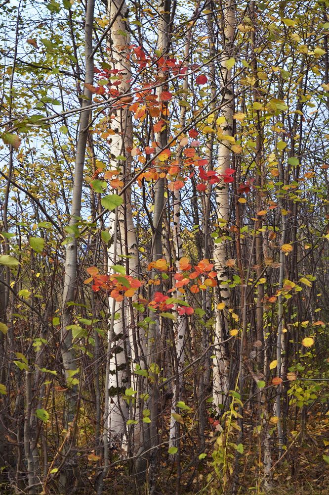 Photograph by Соколова Елена