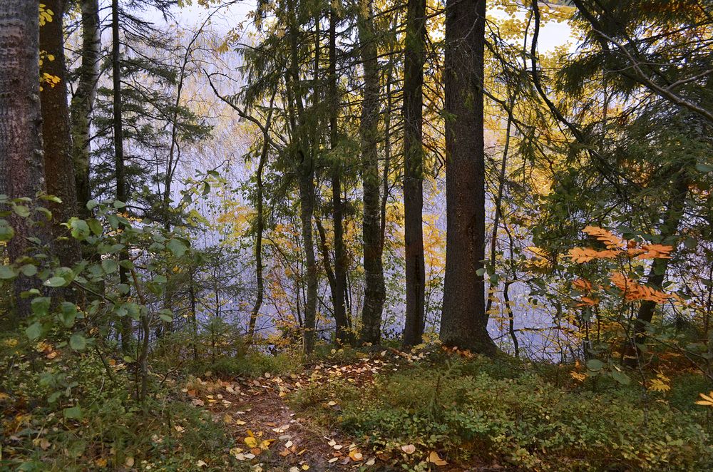 Photograph by Соколова Елена