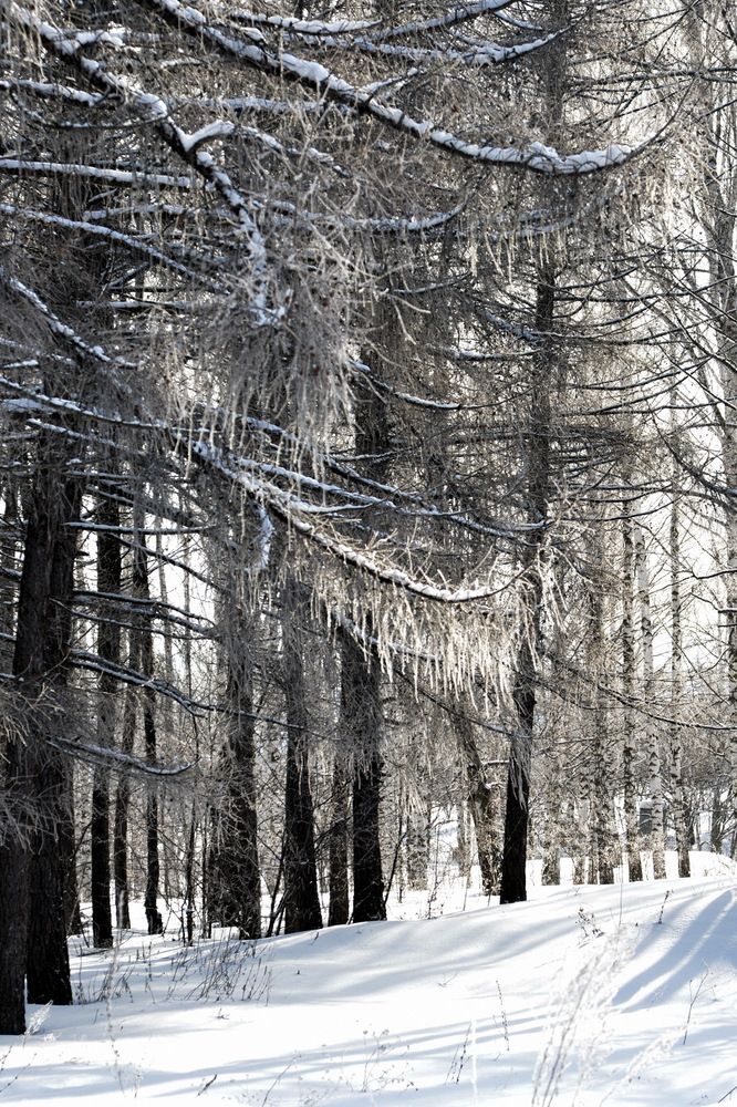 Photograph by Фарит Зиатдинов