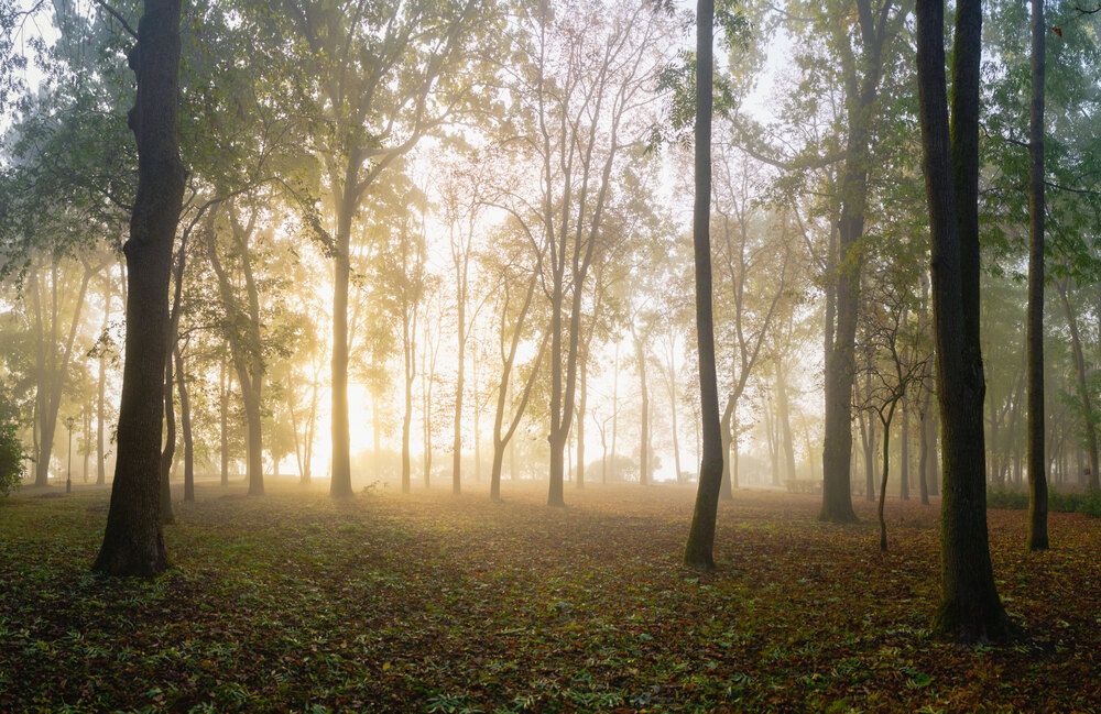 Photograph by Андрей Сосновский