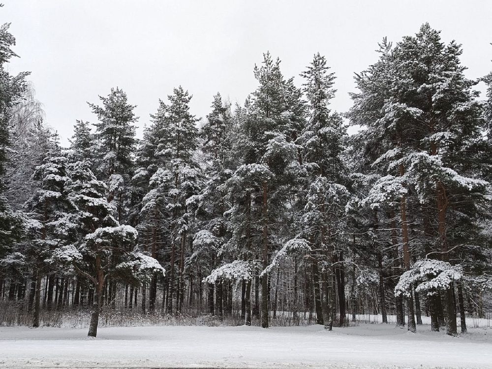 Photograph by Ирина Ильина