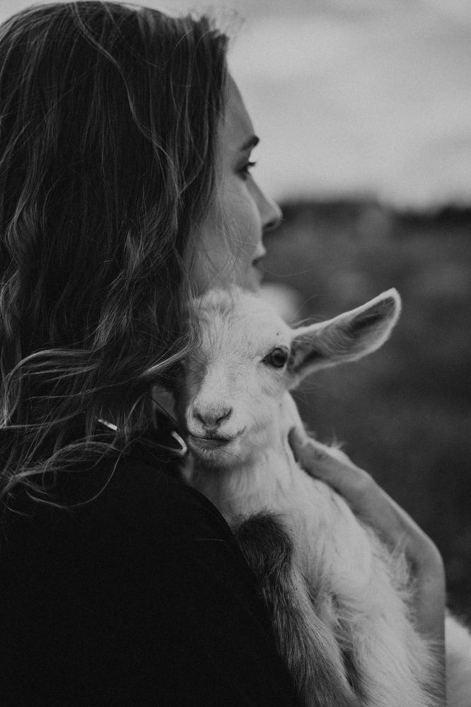 Photograph by Галина Ласаева